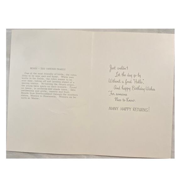 Lot 3 Vtg MCM Birthday Card USA 1970s Embossed Cardinal Bird Winged Classic - Picture 5 of 15